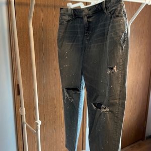 Lane Bryant Distressed Jeans